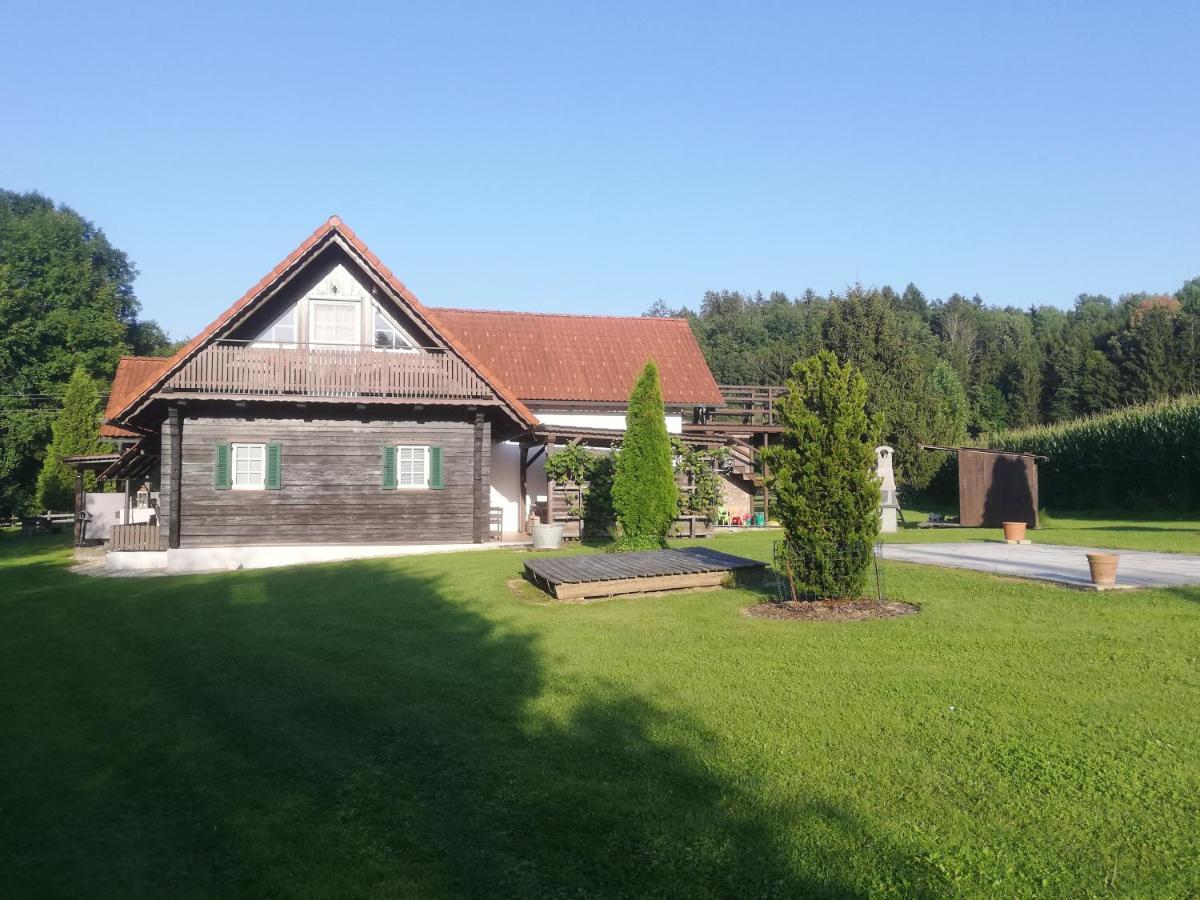 Ferienhaus Am Bach Kirchberg an der Raab Экстерьер фото