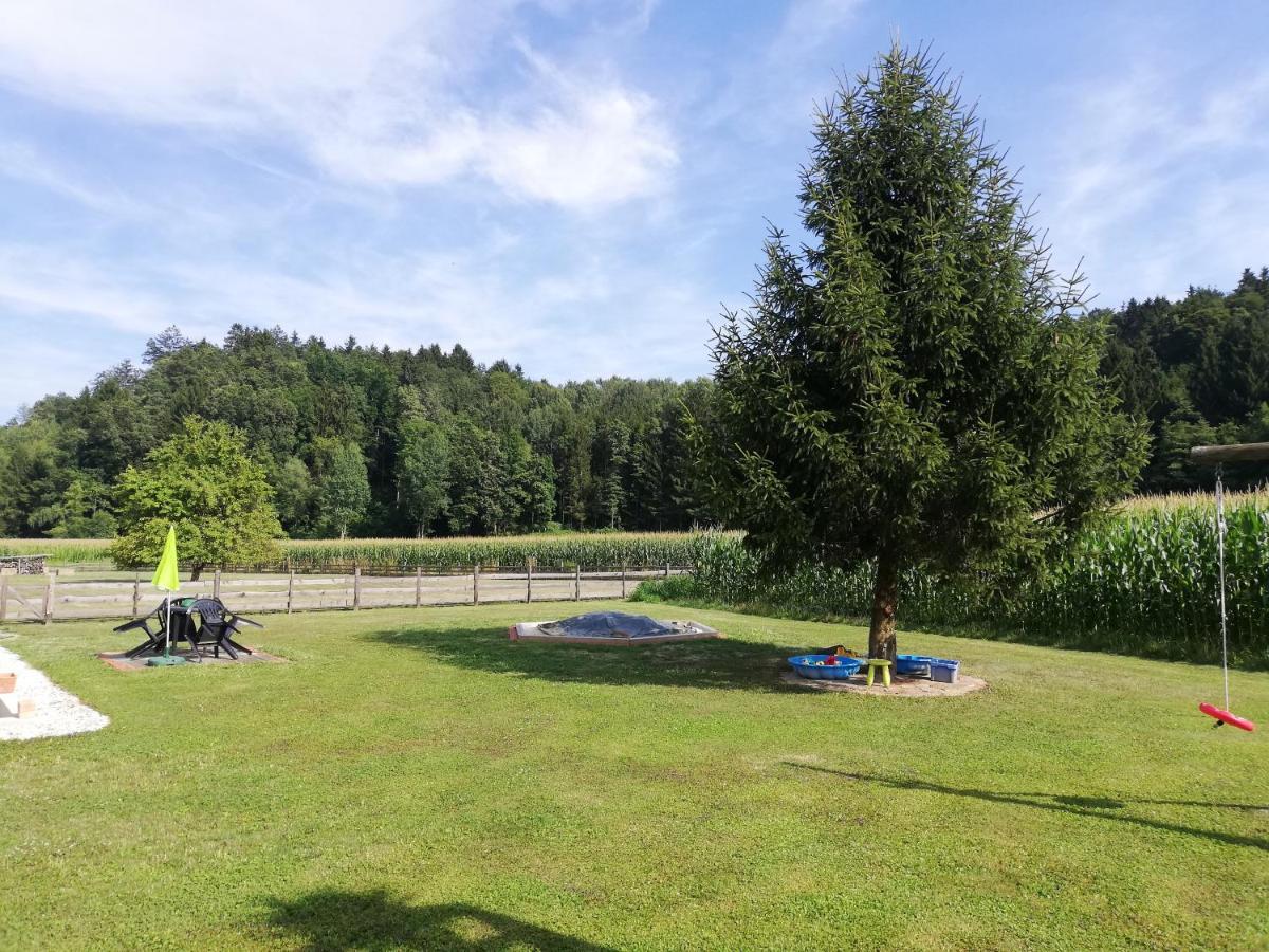 Ferienhaus Am Bach Kirchberg an der Raab Экстерьер фото