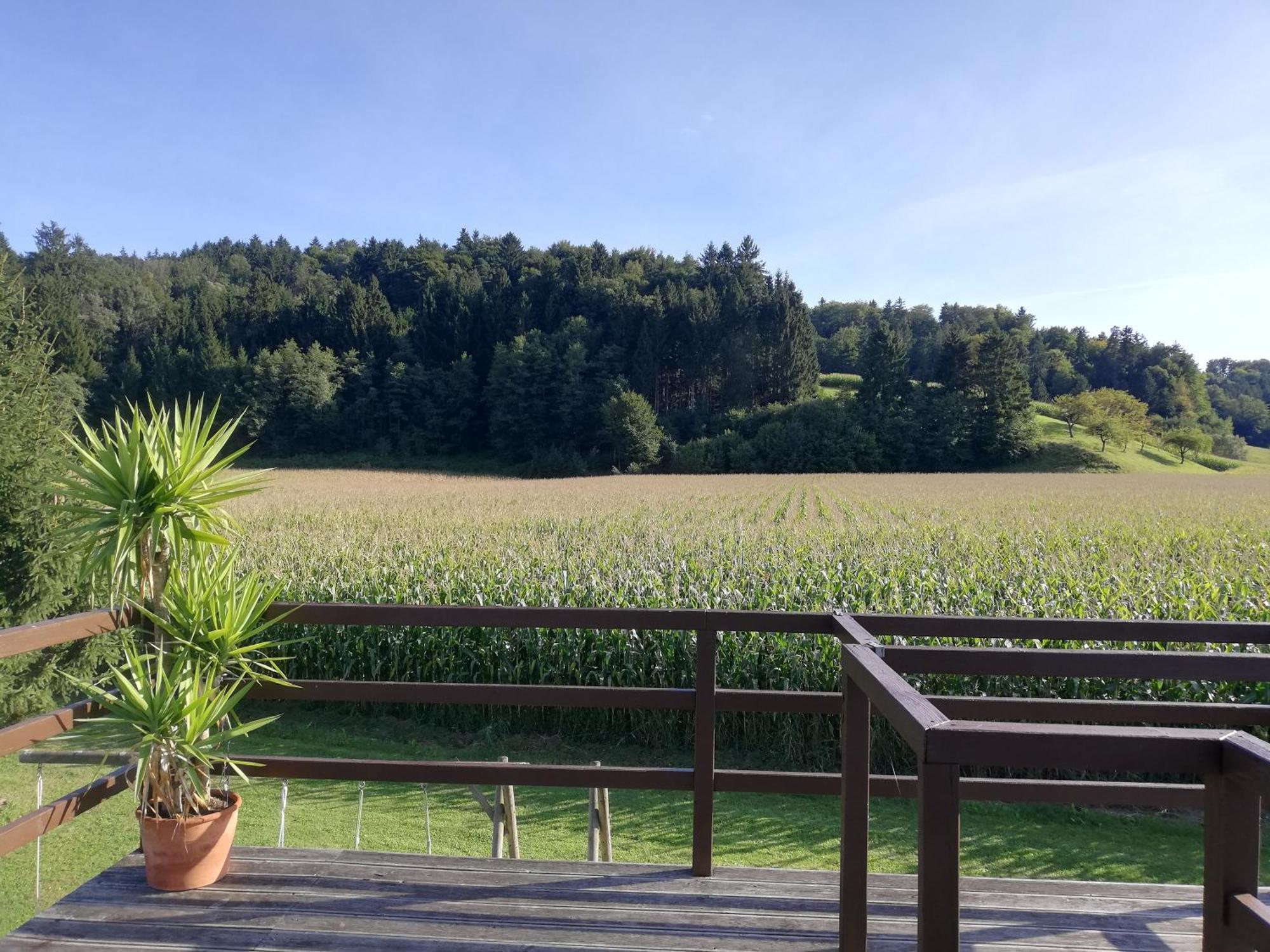 Ferienhaus Am Bach Kirchberg an der Raab Экстерьер фото
